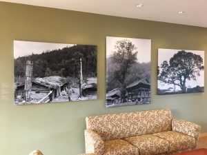 A view of Museum label dry transfers used for a photography exhibit at The Arnold Arboretum of Harvard University where our custom museum wall labels were installed.