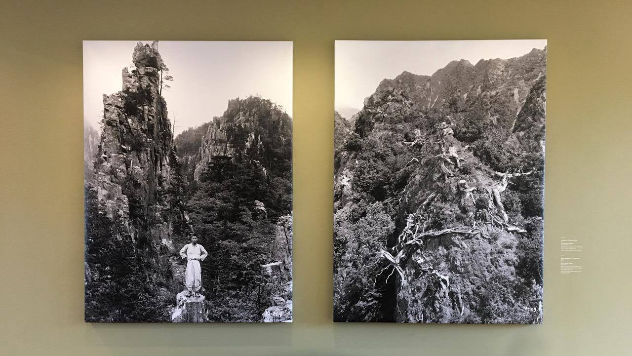 Custom museum exhibit labels for written descriptions rubbed onto walls and placards. Museum wall labels for museum exhibits. Picture from inside The Arnold Arboretum at Harvard University.