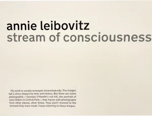 Annie Leibovitz art gallery dry transfer label at Hauser & Wirth in Chelsea, NYC. Stream of consciousness art exhibit label.