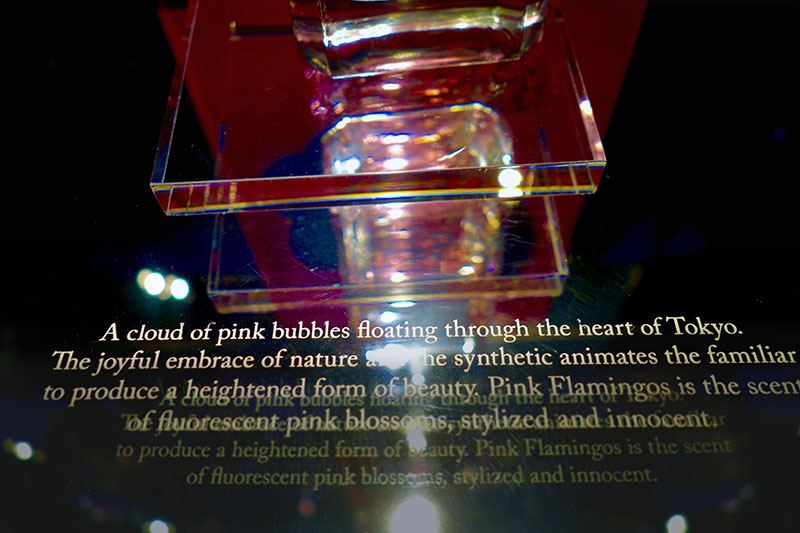 A top view photo of the Prada Glass Display using a custom rub down transfer for the white lettering, as a letraset transfer applied on the top of the display.